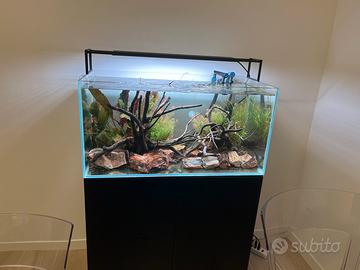 Acquario 80x40x40 naturale