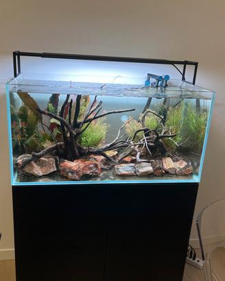 Acquario 80x40x40 naturale