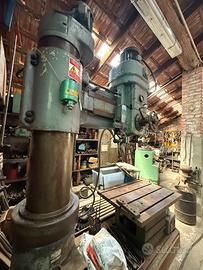 Trapano a volonna radisle