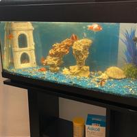 acquario di pesce con tavolo e kit completo