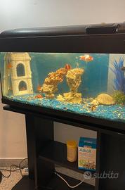 acquario di pesce con tavolo e kit completo