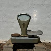 Bilancia vintage “DASCA” anni ‘50 da bottega