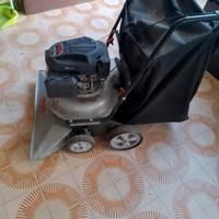 Aspirafoglie a motore