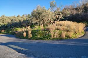 Terreno San Martino-Spadafora