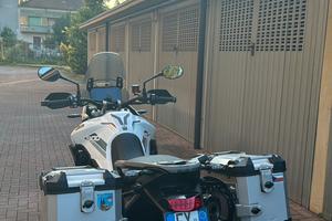 Kit valigie laterali tiger 900