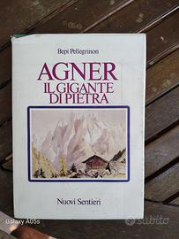 Agnèr. Il gigante di pietra  di Bepi Pellegrinon