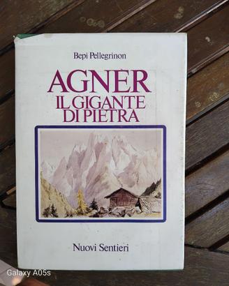 Agnèr. Il gigante di pietra  di Bepi Pellegrinon