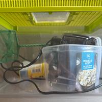 Kit completo pesci rossi