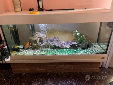 Acquario 260 lt