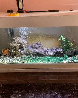 Acquario 260 lt