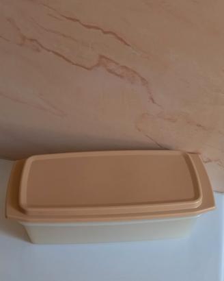 Contenitore Tupperware per formaggi 