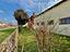 Immagine 20