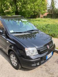 FIAT PANDA 1.2 DINAMICO