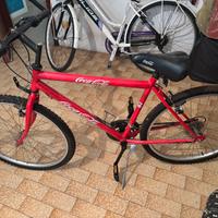 Noto marchio bici/uomo/donna