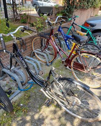 bici da donna 