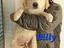 Immagine 4
