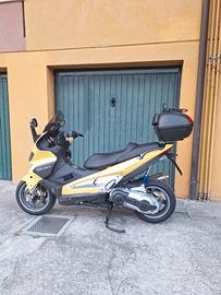 Gilera Nexus 500 giallo (2006)  Tagliandato