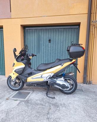 Gilera Nexus 500 giallo (2006)  Tagliandato