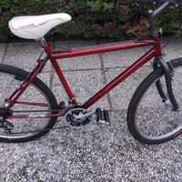 bici MTB 
