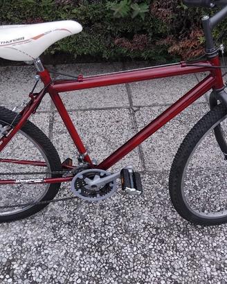 bici MTB 