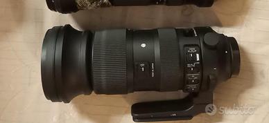 Sigma 60-600 Sport per Canon