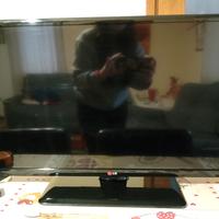 TV marca LG 32 pollici