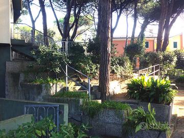 Settembre a Rosolina Mare