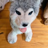 1 peluche di husky grande, marca sorini