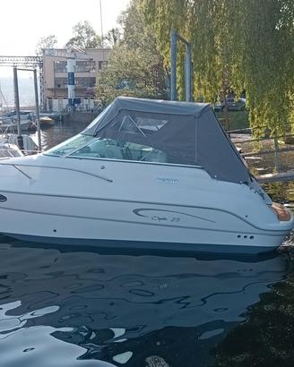 barca a motore sessa 25