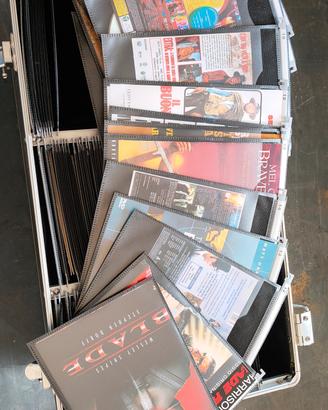 Collezione DVD film