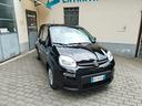 fiat-panda-1-0-firefly-s-s-hybrid-09-2023