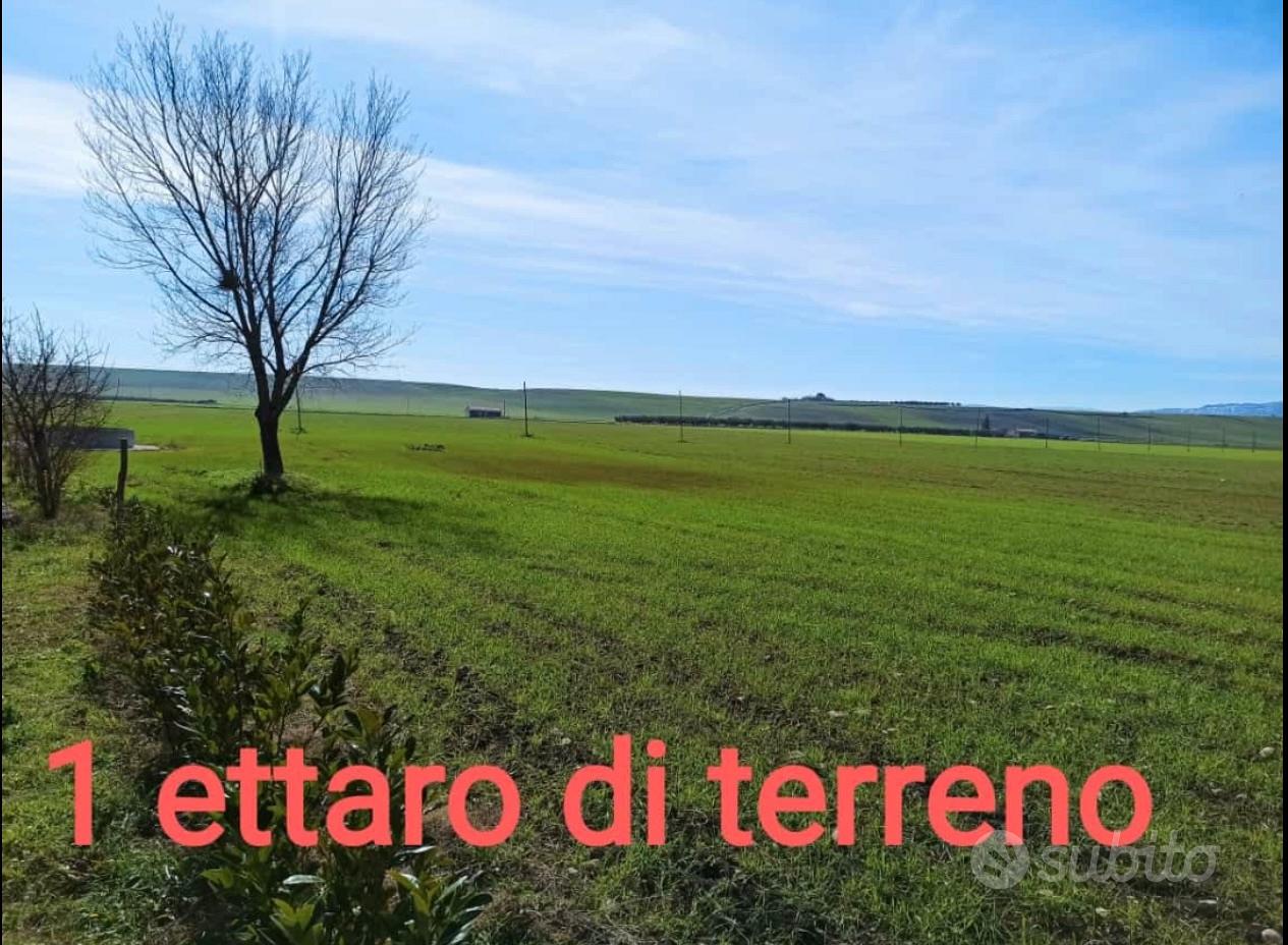 Campagna terreno - Vista 4