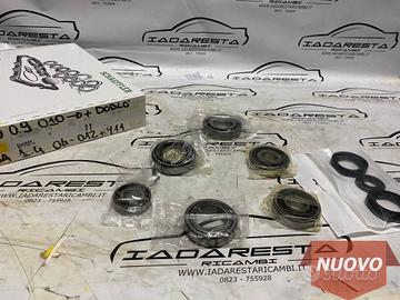 Kit Revisione Cambio 500-Panda-Ypsilon 46343828