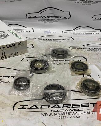 Kit Revisione Cambio 500-Panda-Ypsilon 46343828