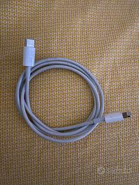 Filo caricatore Apple USB C