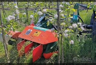 spollonatrice decespugliatore Olmi