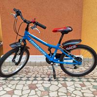 Bicicletta bambino misura 20