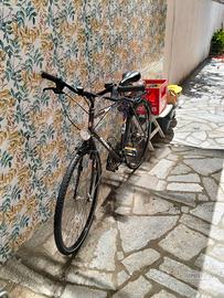 Bicicletta atala