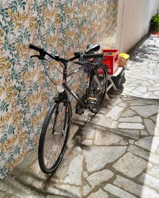 Bicicletta atala