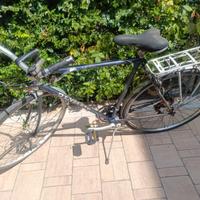 Bici olympia uomo