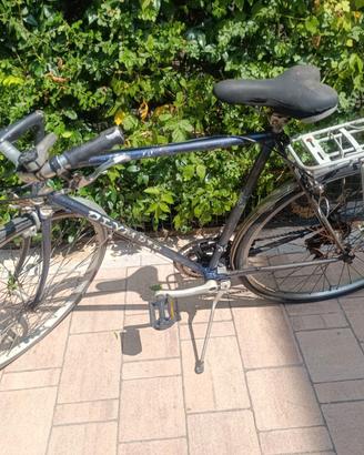 Bici olympia uomo