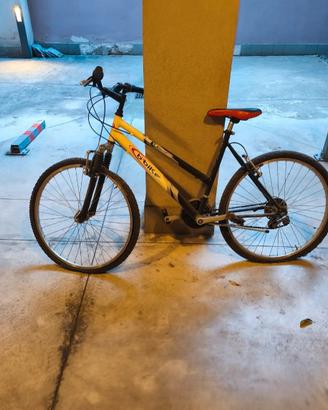 bici mtb 26“ cambio shimano 