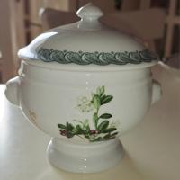 terrine della Tognana 