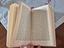 Immagine 6
