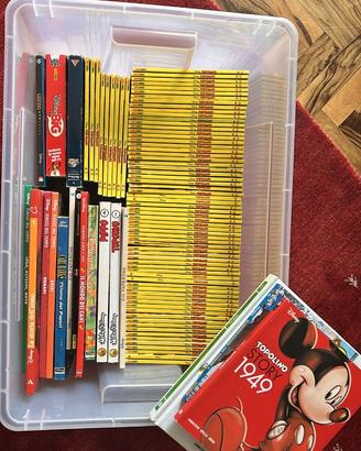 LIBRI BAMBINI / RAGAZZI LOTTO COMPLETO