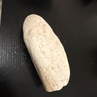 Roccia bianca per acquario terrario acquascaping