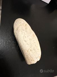 Roccia bianca per acquario terrario acquascaping