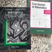 Analisi 1 Kit (teoria piu eserciziario)