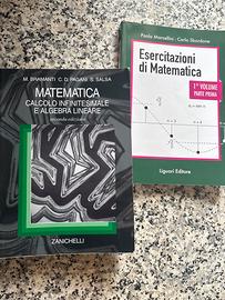 Analisi 1 Kit (teoria piu eserciziario)