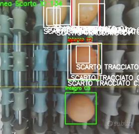 Selezionatrice di uova sporche e rotte
